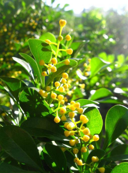 耐酸磚，盲道磚，陶瓷透水磚源頭生產(chǎn)廠家到底適不適合參加展會